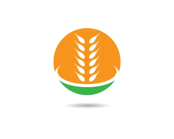 Agricoltura Grano Logo Modello Vettoriale Icona Design — Vettoriale Stock