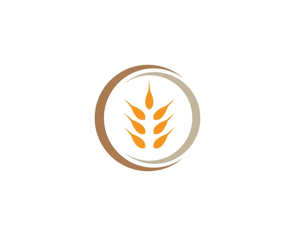 Tarım Buğday Logosu Vektör Ikonu Tasarımı — Stok Vektör