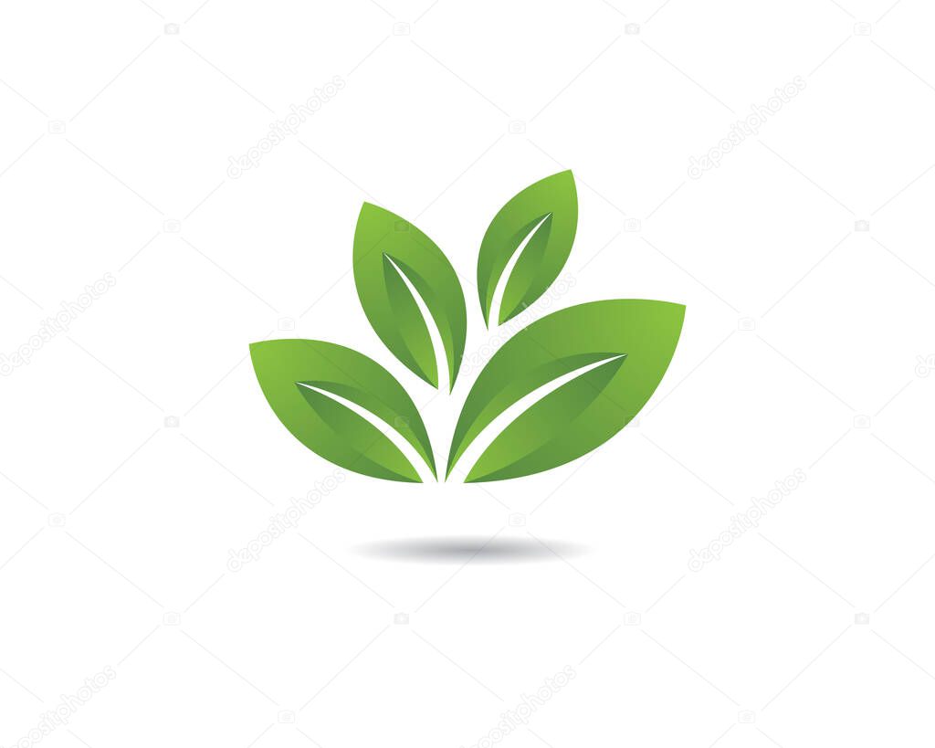 Logos of green leaf ecology nature element vector icon