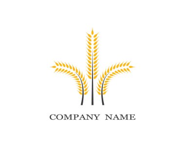 Tarım buğday logosu vektör ikonu tasarımı