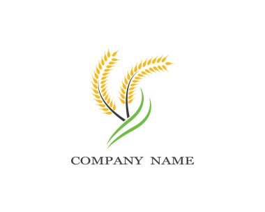 Tarım buğday logosu vektör ikonu tasarımı