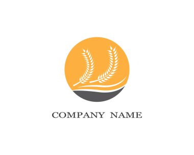 Tarım buğday logosu vektör ikonu tasarımı