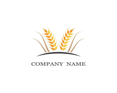 Tarım buğday logosu vektör ikonu tasarımı