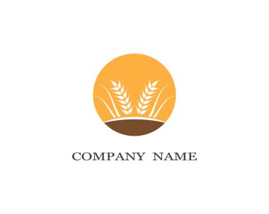 Tarım buğday logosu vektör ikonu tasarımı
