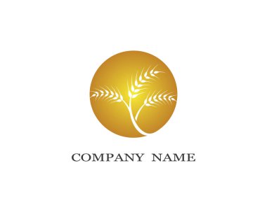 Tarım buğday logosu vektör ikonu tasarımı