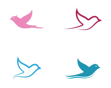 Dove Logo Şablonu vektör resimleme tasarımı