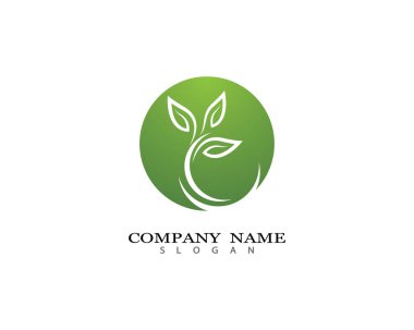 Yeşil yapraklı ekoloji doğa element ikonu logoları