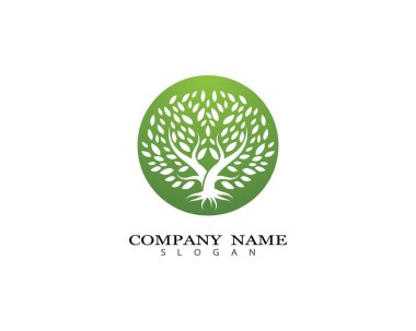 Ağaç logosu şablon vektör illüstrasyon tasarımı