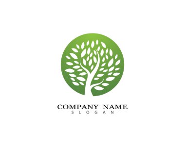 Ağaç logosu şablon vektör illüstrasyon tasarımı