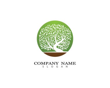 Ağaç logosu şablon vektör illüstrasyon tasarımı