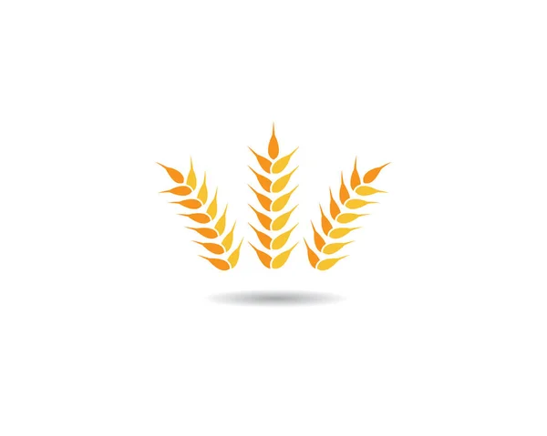 農業小麦のロゴテンプレートベクトルアイコンデザイン — ストックベクタ
