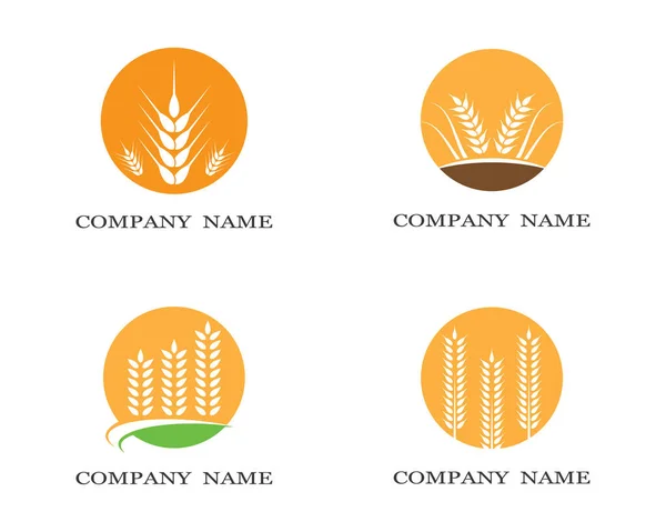 Agricultura Trigo Logotipo Plantilla Vector Icono Diseño — Vector de stock