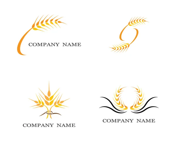 Agriculture Wheat Logo Template Vector Icon Design — Stock Vector