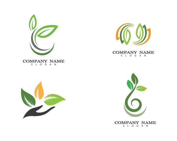 Logos Foglia Verde Ecologia Elemento Natura Icona Vettoriale — Vettoriale Stock