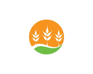 Buğday logosu resim çizimi tasarımı