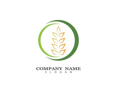 Tarım buğday logosu vektör ikonu tasarımı