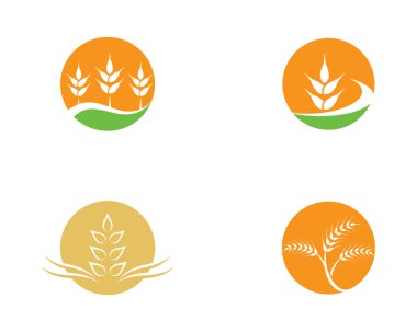 Tarım buğday logosu vektör ikonu tasarımı
