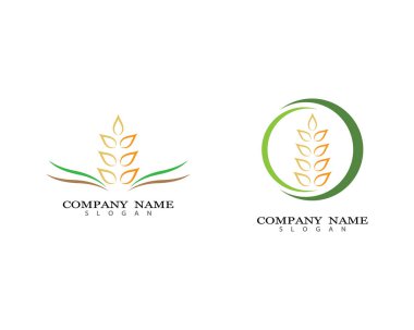Tarım buğday logosu vektör ikonu tasarımı