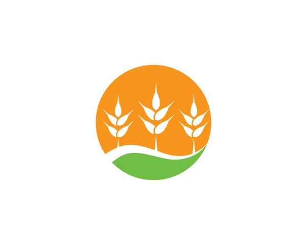 小麦のロゴ画像イラストデザイン — ストックベクタ