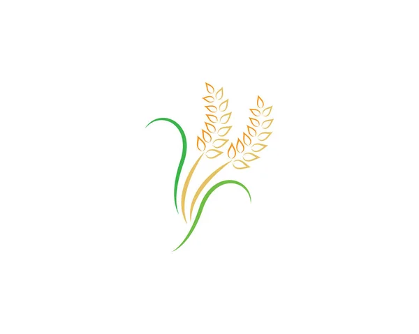 Landwirtschaft Weizen Logo Vorlage Vektor Icon Design — Stockvektor