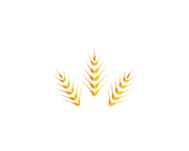 Tarım buğday logosu vektör ikonu tasarımı