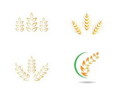Tarım buğday logosu vektör ikonu tasarımı