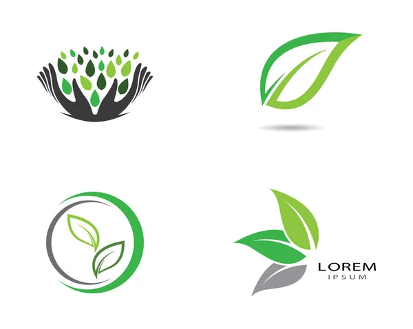 Logos Zielony Liść Ekologia Natura Element Wektor Ikona — Wektor stockowy