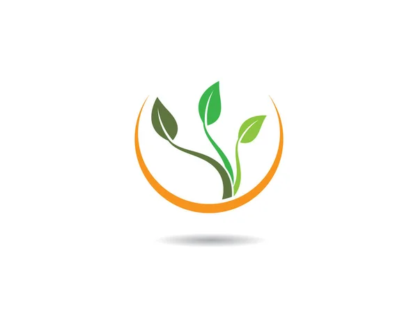 Логотипи Екології Зеленого Листя Природи Векторна Піктограма — стоковий вектор