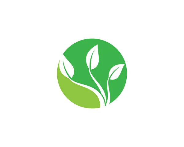 Loga Ekologie Zelených Listů Ikona Přírodního Prvku Vektor — Stockový vektor
