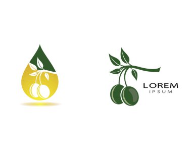 Zeytin yağı logo vektör çizimi tasarımı