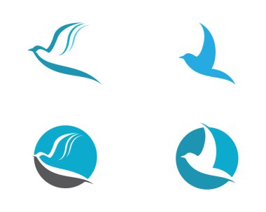 Dove Logo Şablonu vektör resimleme tasarımı