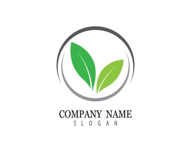 Yeşil yapraklı ekoloji doğa element ikonu logoları