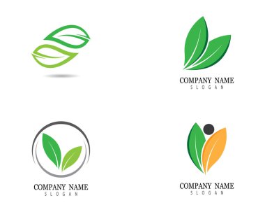 Yeşil yapraklı ekoloji doğa element ikonu logoları