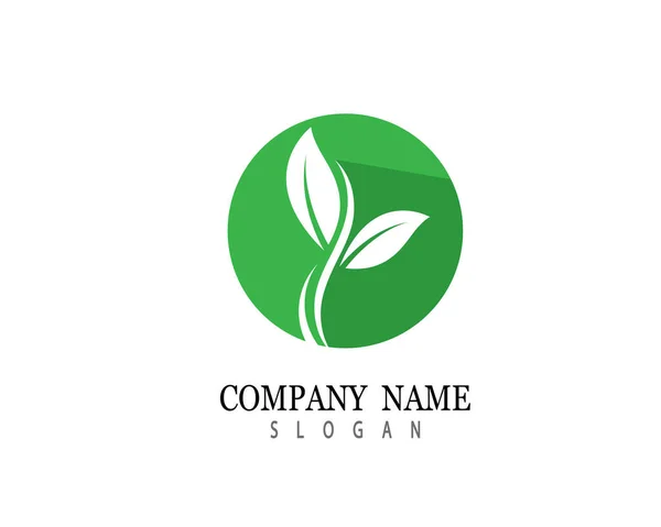 Logos Green Leaf Ecology Nature Element Vector Icon — Stock Vector