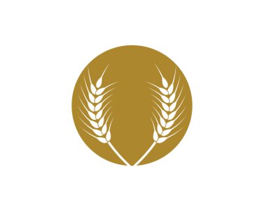 Tarım buğday logosu vektör ikonu tasarımı