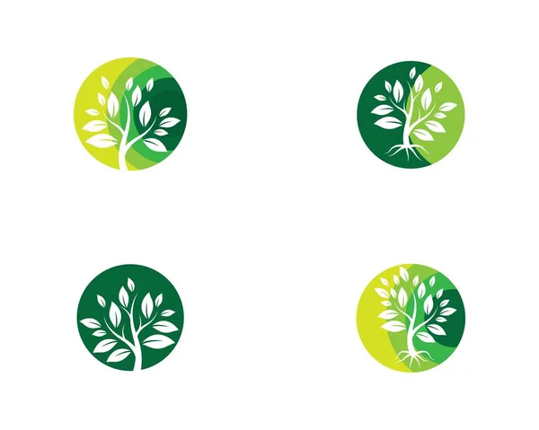 Modèle Logo Arbre Icône Vectorielle Illustration Design — Image vectorielle