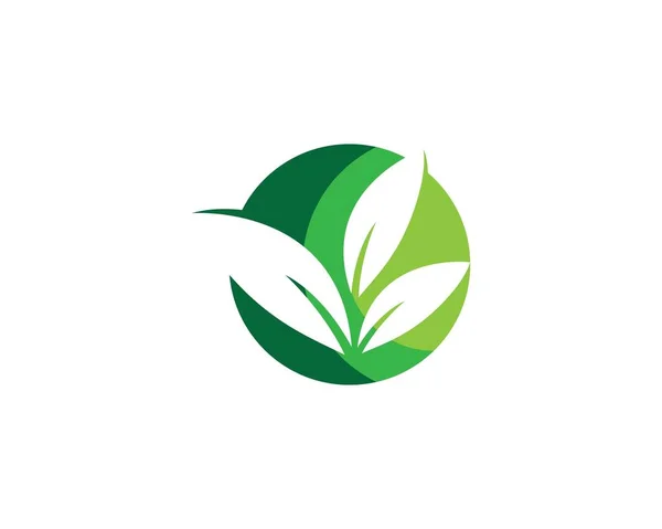 Leaf Symbol Vector Icon Illustration — Stock Vector