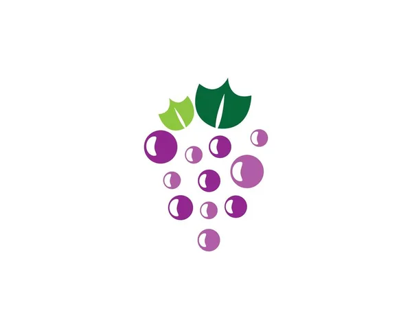 Grape 템플릿 아이콘 디자인 — 스톡 벡터