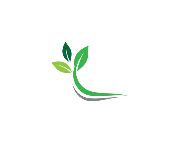 Ikona Wektora Symbolu Liścia Ilustracja — Wektor stockowy