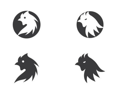 Rooster vektör resimleme tasarımı