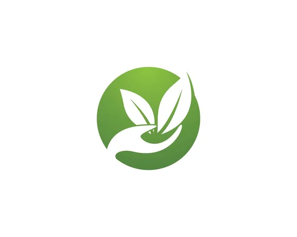 Ikona Wektora Ekologii Projekt Ilustracji — Wektor stockowy