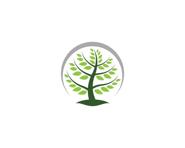 Ilustração Ícone Vetor Símbolo Árvore — Vetor de Stock