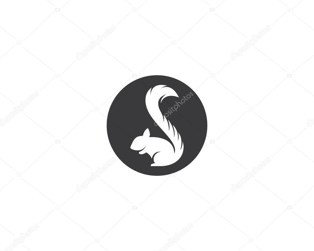 Squirrel vector icon illustration design