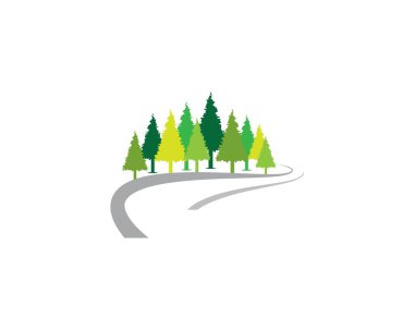 Çam ağacı vektör resimleme tasarımı