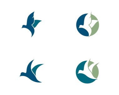 Güvercin vektör resimleme tasarımı