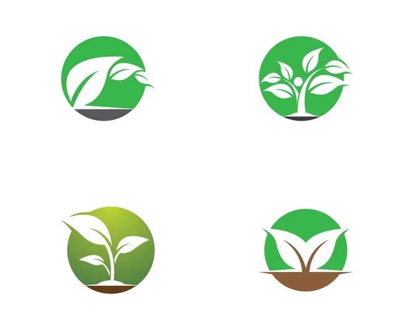 Ikona Wektora Ekologii Projekt Ilustracji — Wektor stockowy