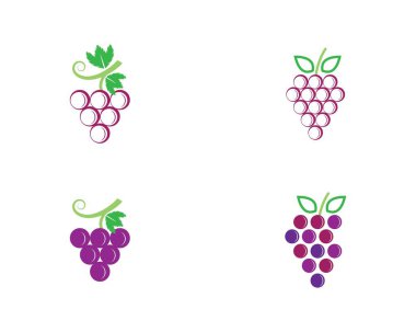 Üzüm vektörü resimleme tasarımı