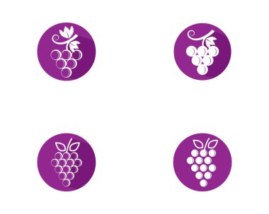 Üzüm vektörü resimleme tasarımı