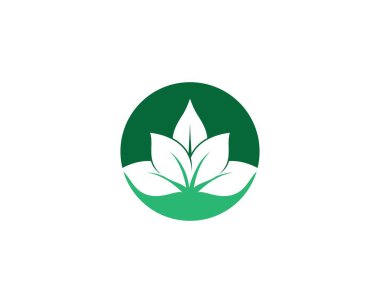 Yaprak sembolü vektör illüstrasyonu