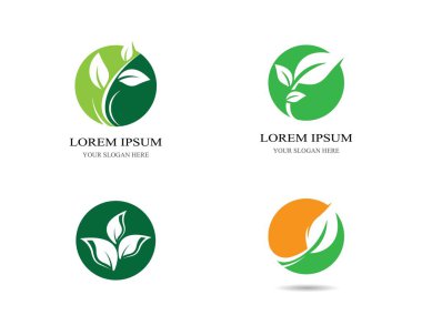 Yaprak sembolü vektör illüstrasyonu